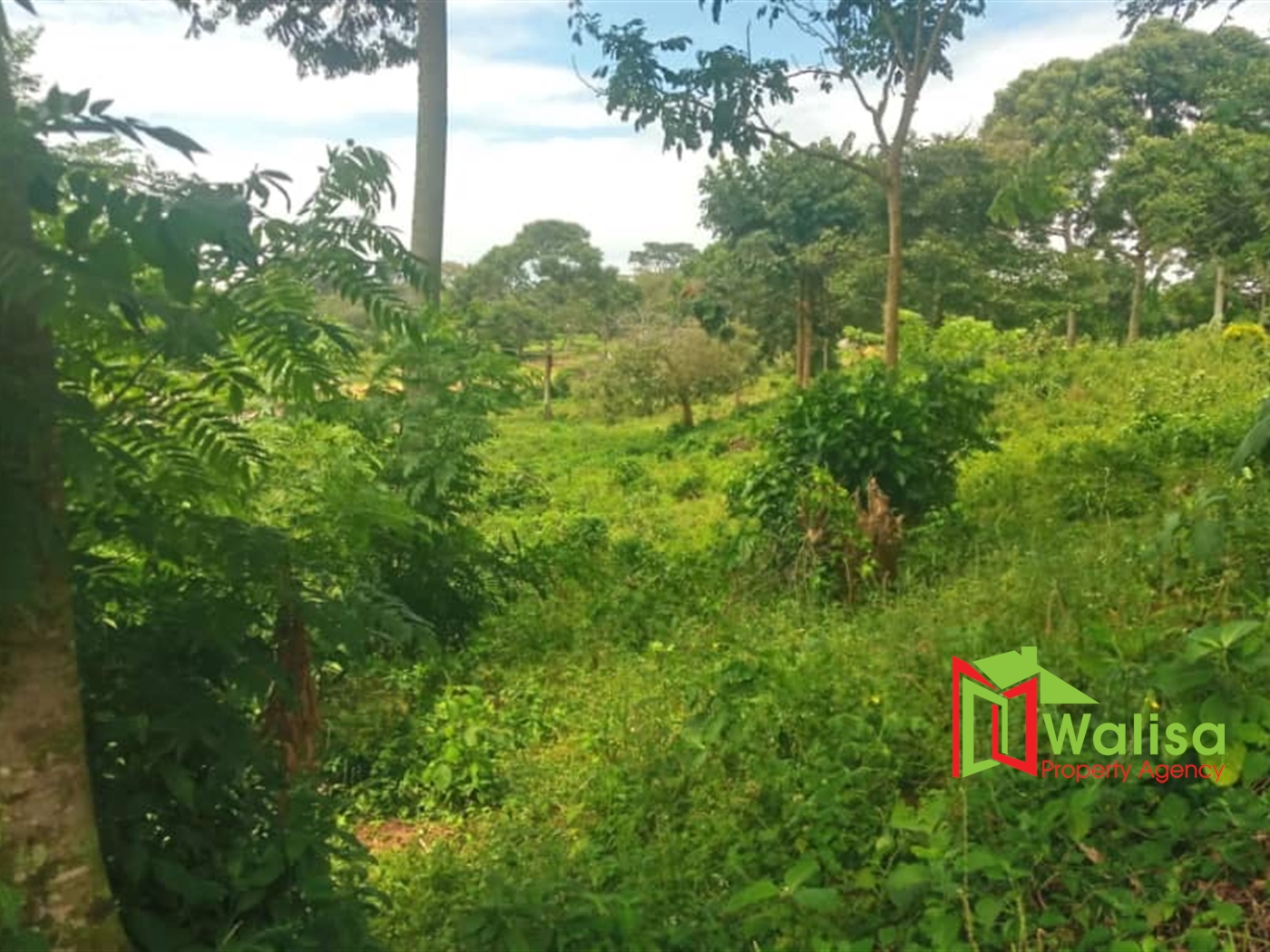 Commercial Land for sale in Kawuku Wakiso