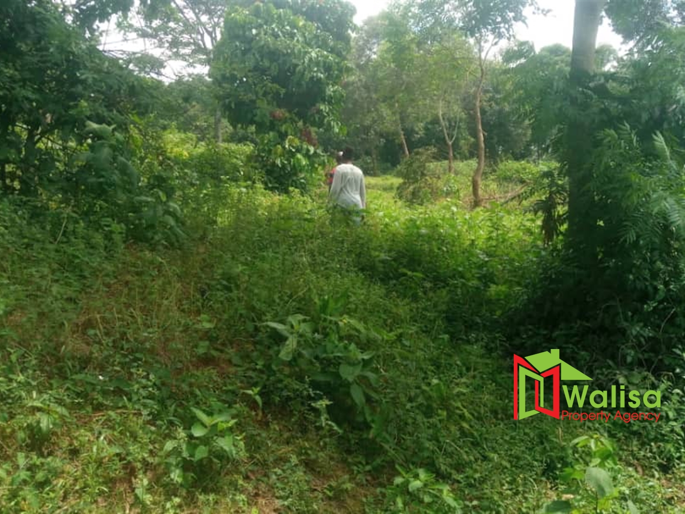 Commercial Land for sale in Kawuku Wakiso