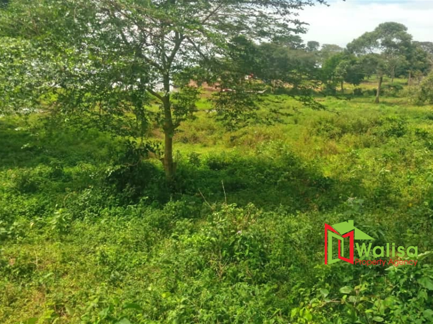 Commercial Land for sale in Kawuku Wakiso