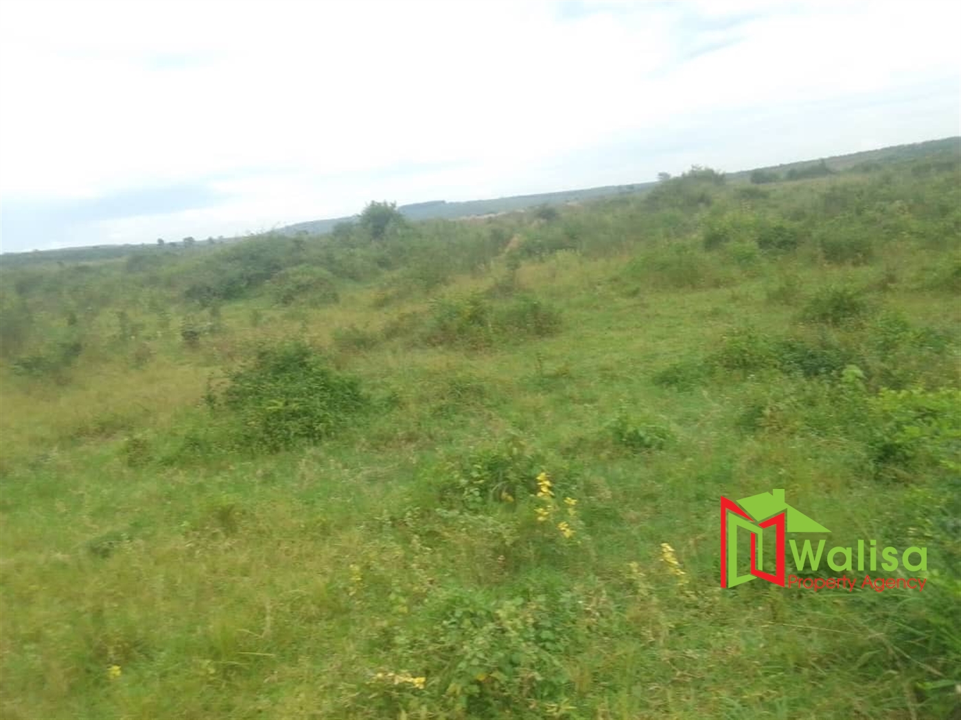 Commercial Land for sale in Namayumba Wakiso