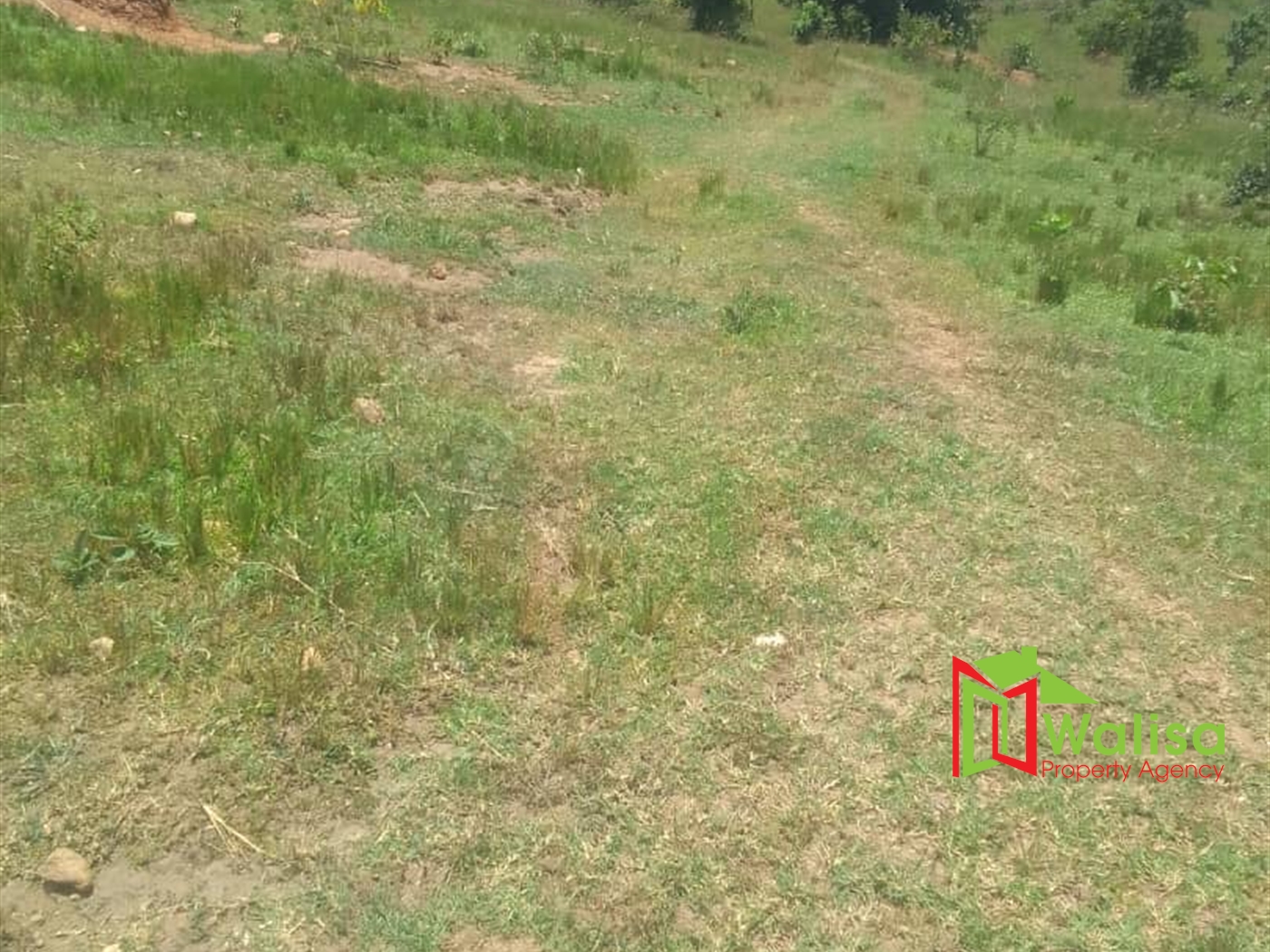 Commercial Land for sale in Namayumba Wakiso