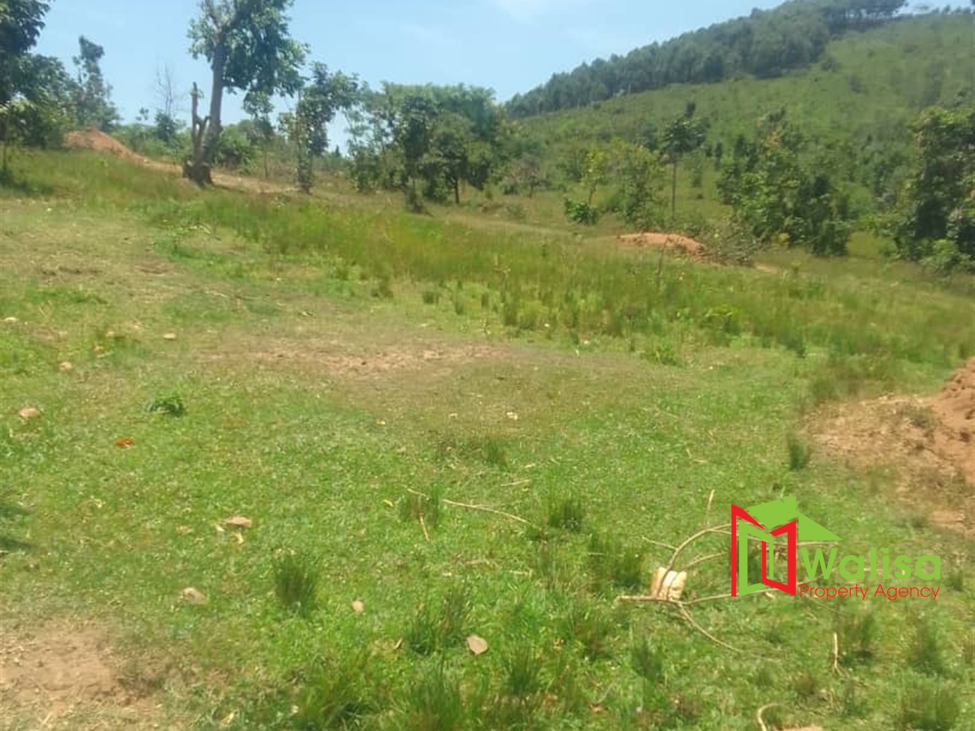 Commercial Land for sale in Namayumba Wakiso