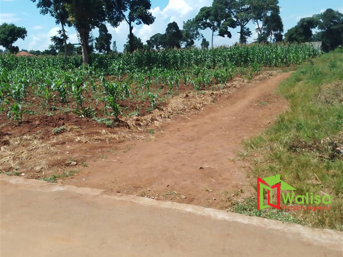 Commercial Land for sale in Kawuku Wakiso