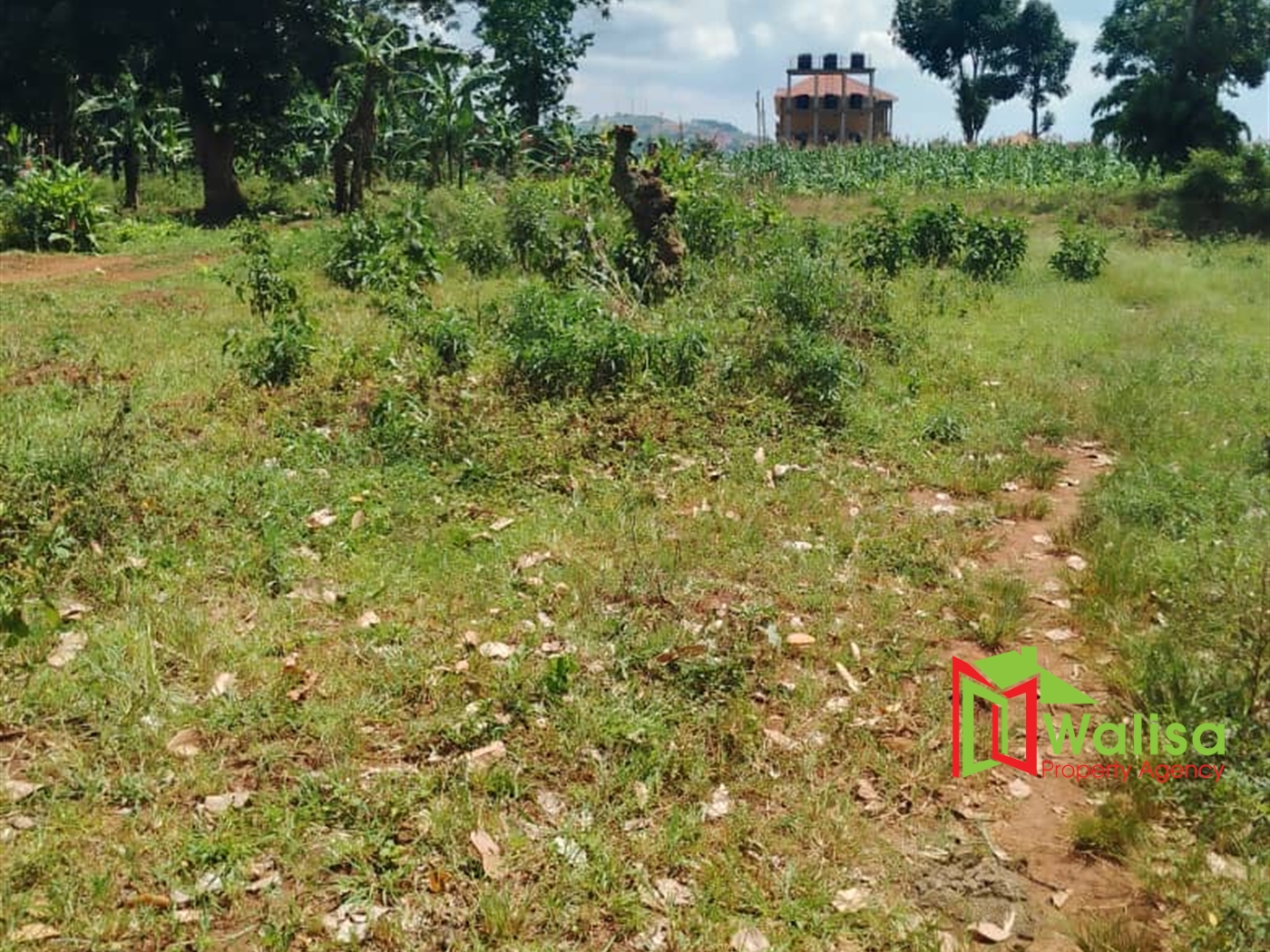 Commercial Land for sale in Kawuku Wakiso