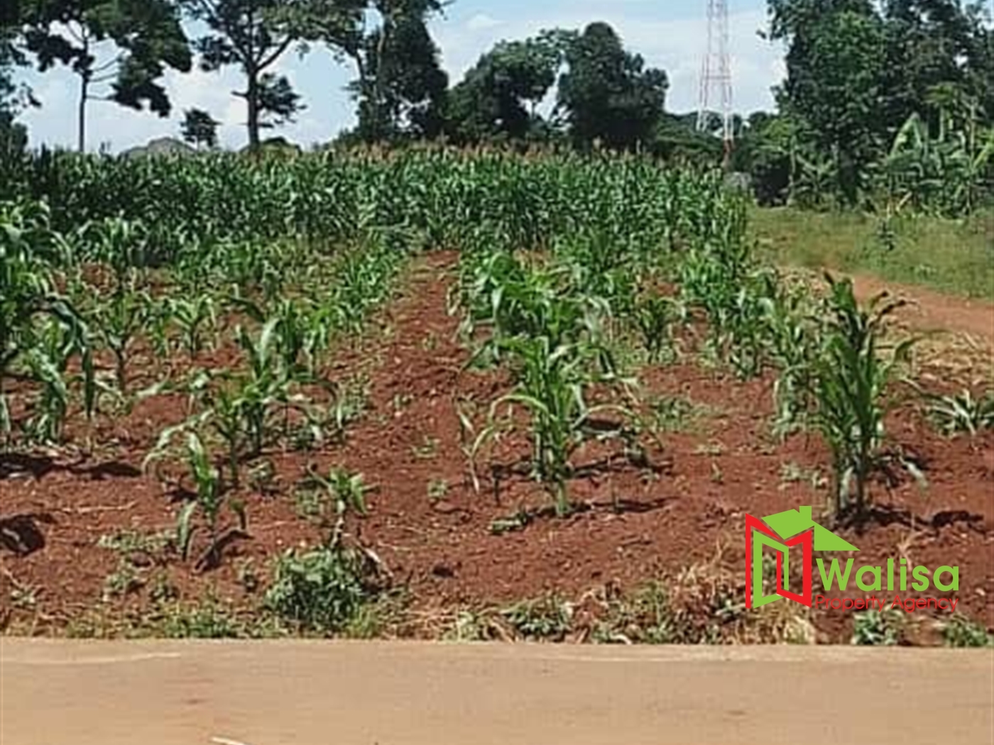 Commercial Land for sale in Kawuku Wakiso