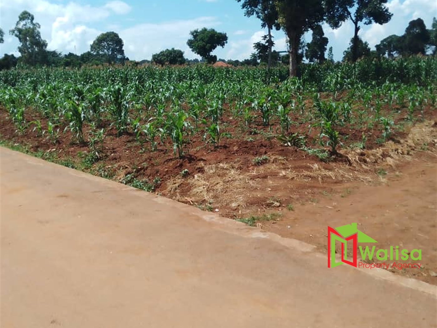 Commercial Land for sale in Kawuku Wakiso