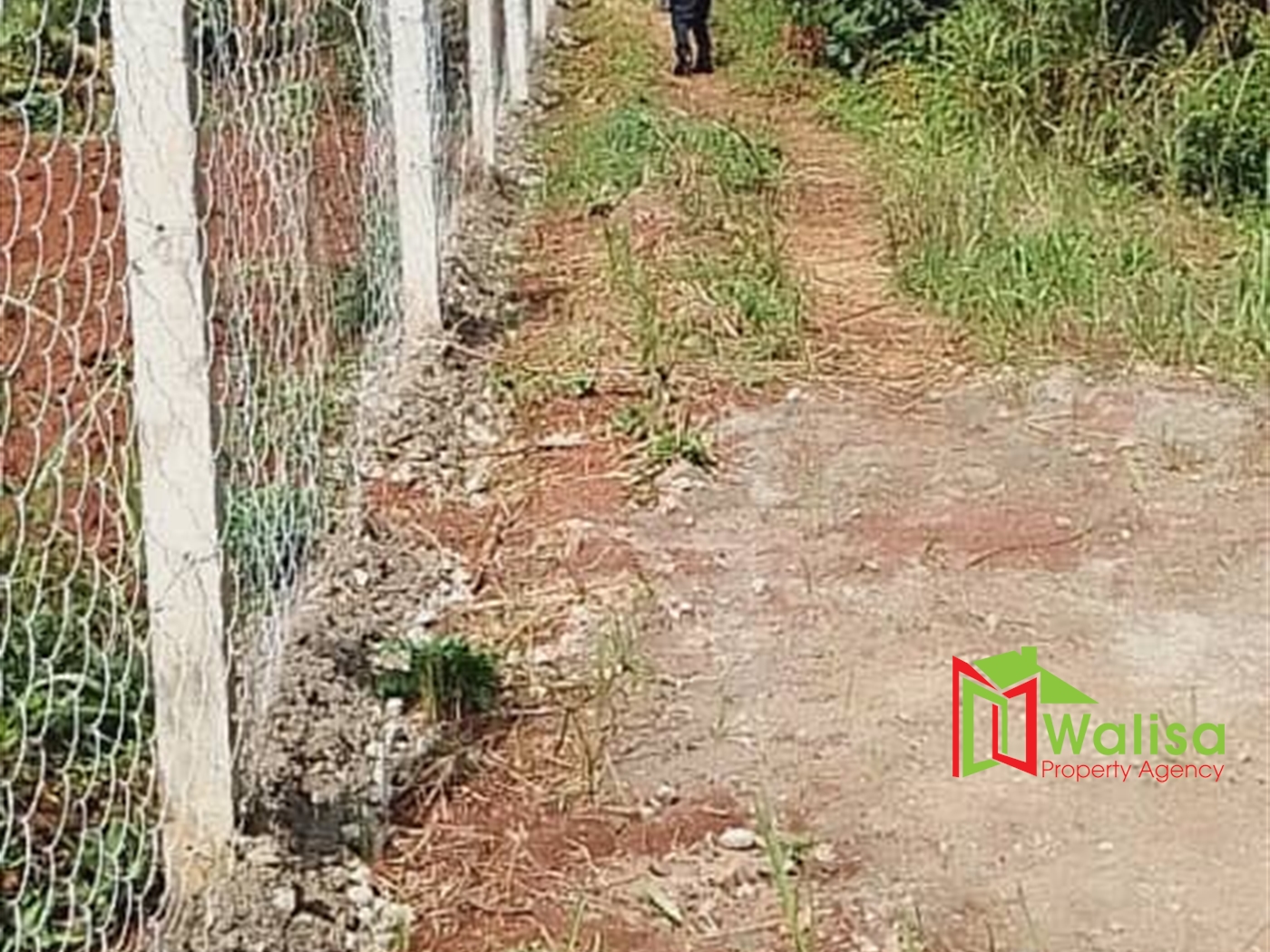 Multipurpose Land for sale in Akright Wakiso