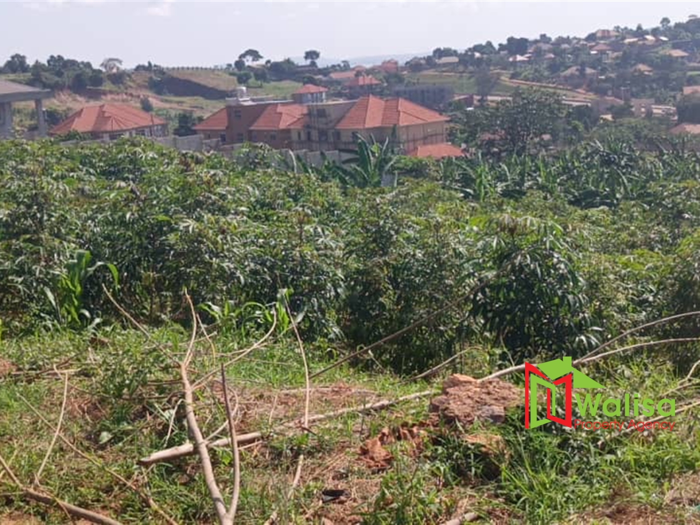 Commercial Land for sale in Kigo Wakiso