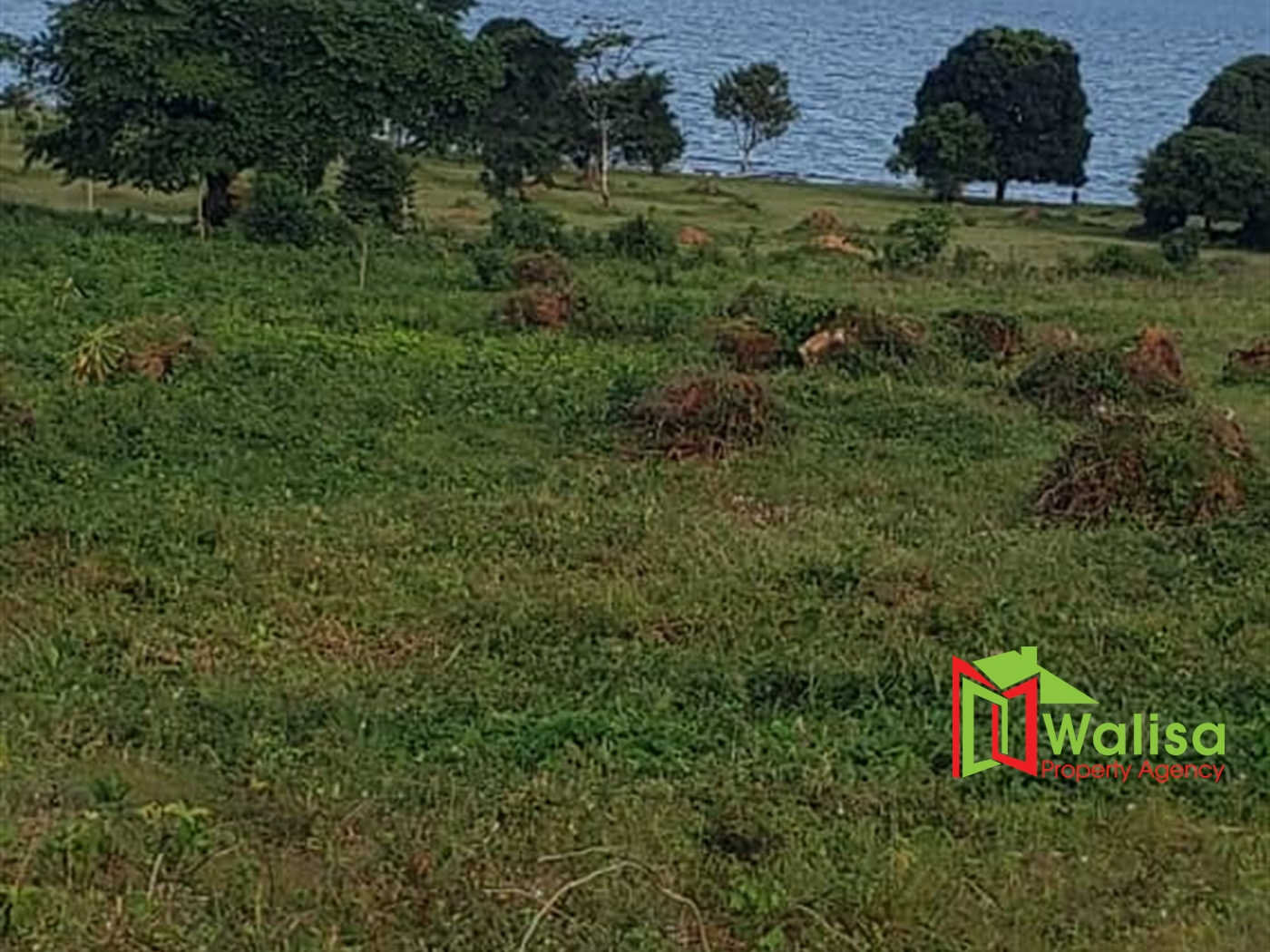 Commercial Land for sale in Garuga Wakiso