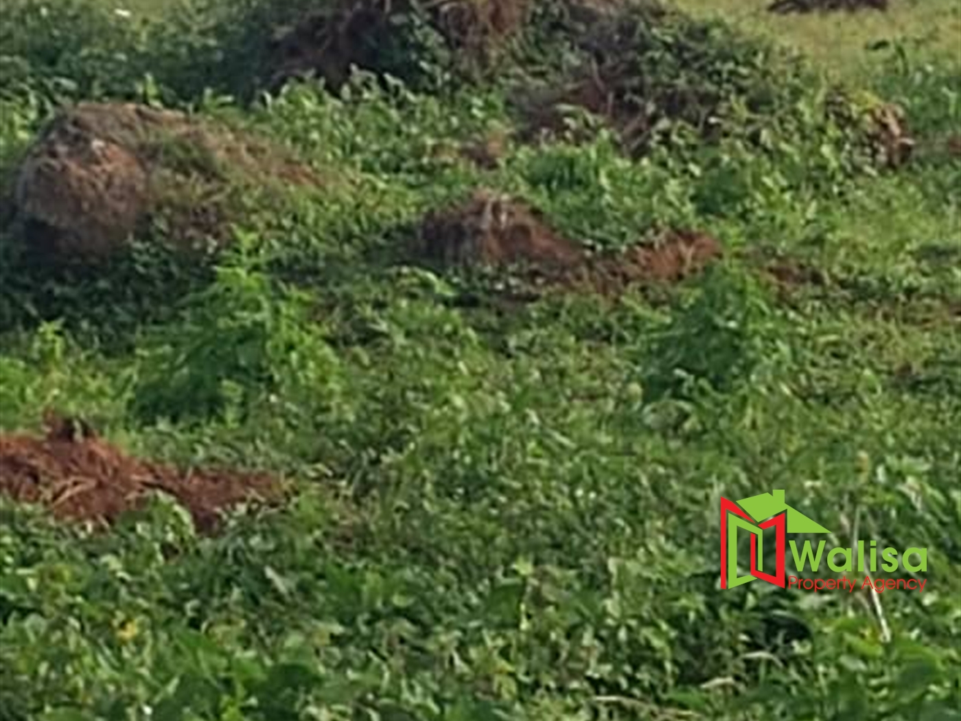 Commercial Land for sale in Garuga Wakiso