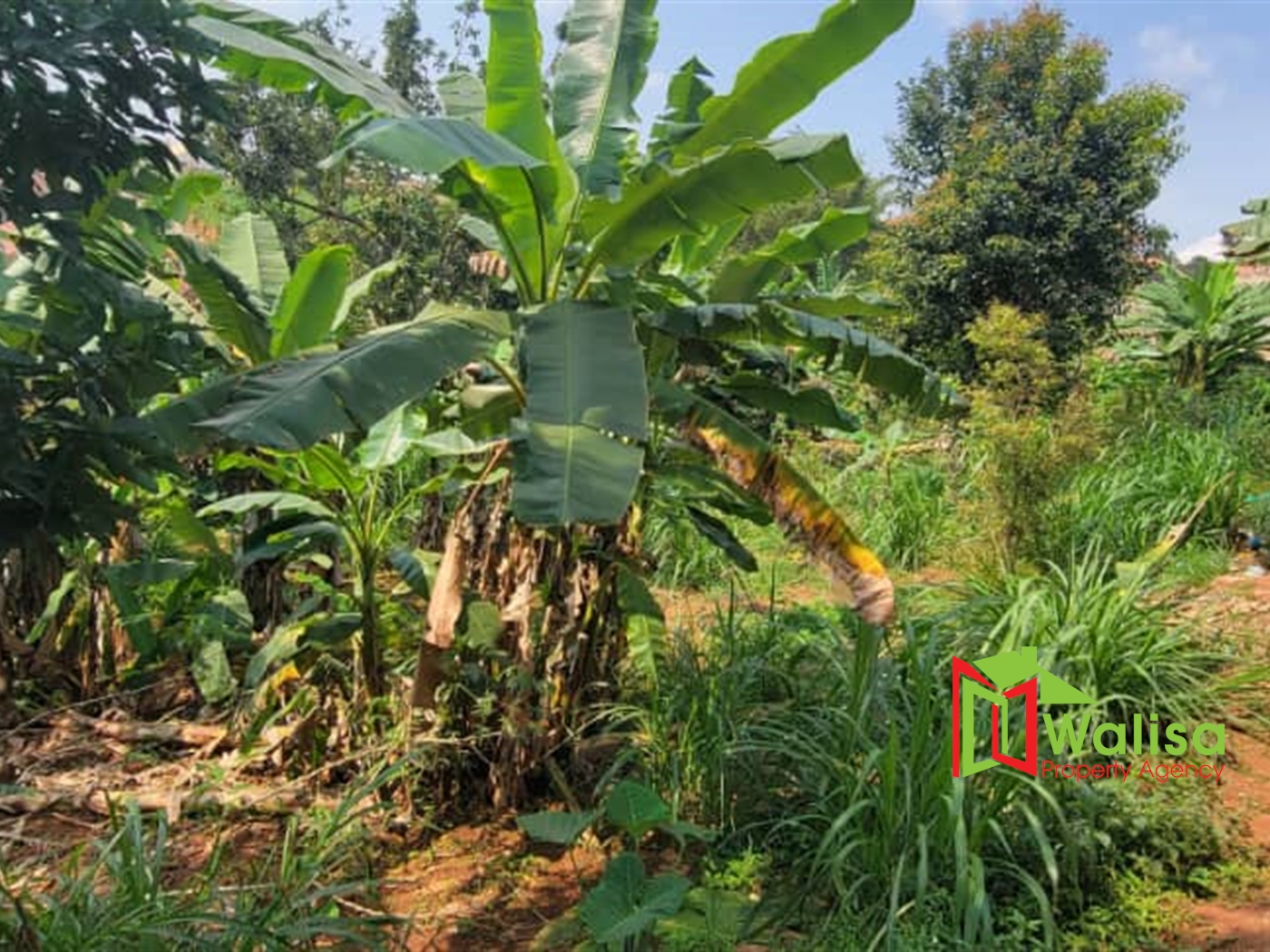 Residential Land for sale in Kyanjakungu Wakiso