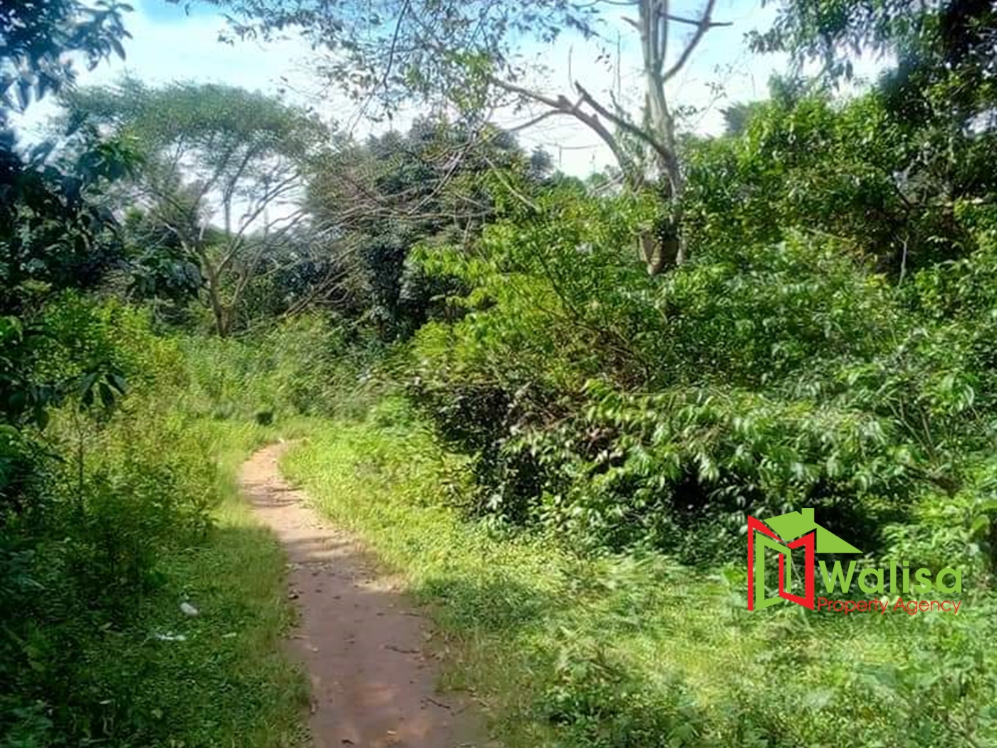 Residential Land for sale in Bukasa Bugiri