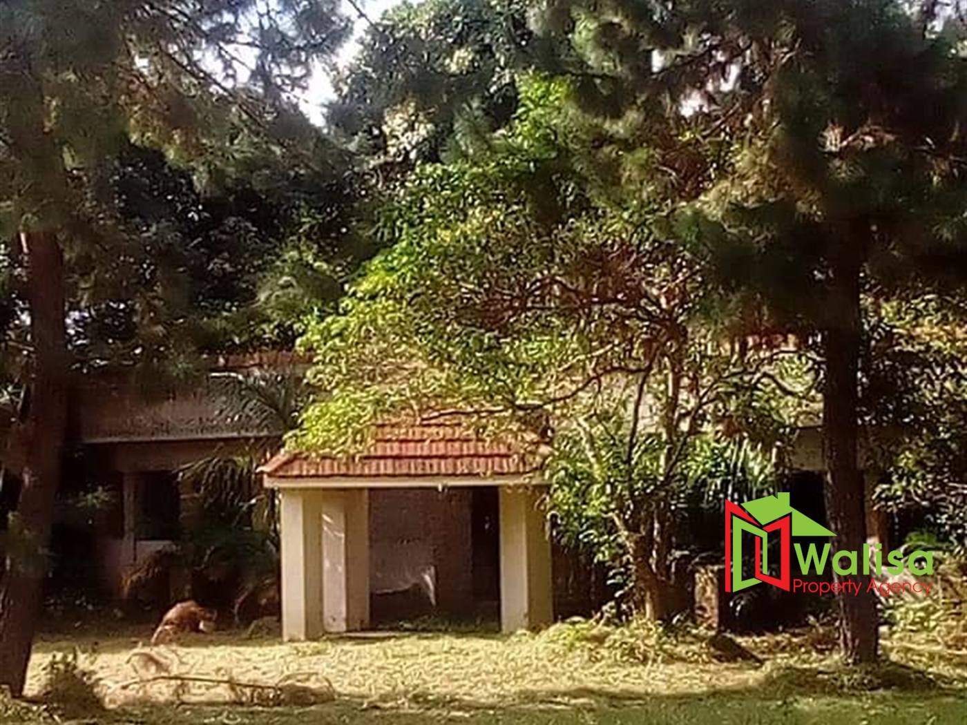 Residential Land for sale in Bukasa Bugiri