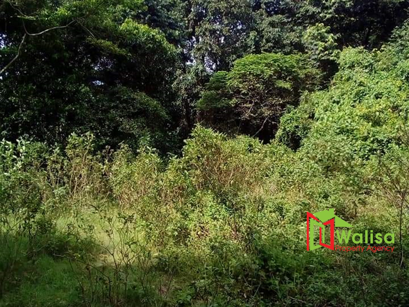 Residential Land for sale in Bukasa Bugiri