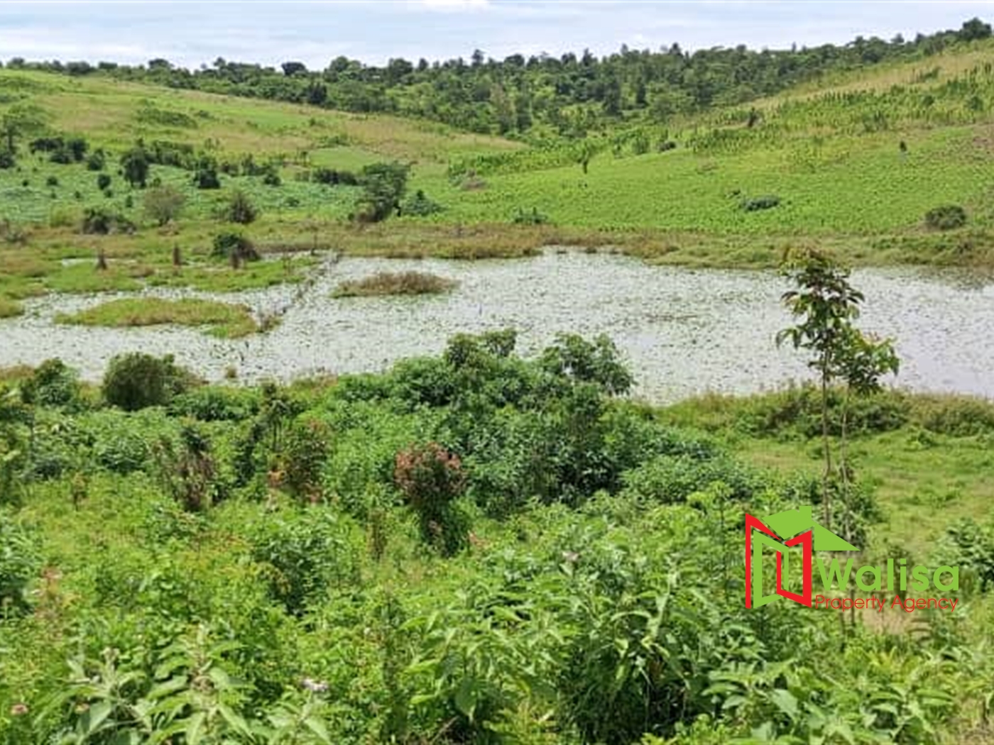 Agricultural Land for sale in Kyenda Mubende