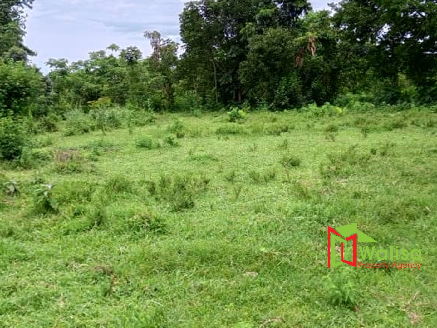 Agricultural Land for sale in Kyenda Mubende