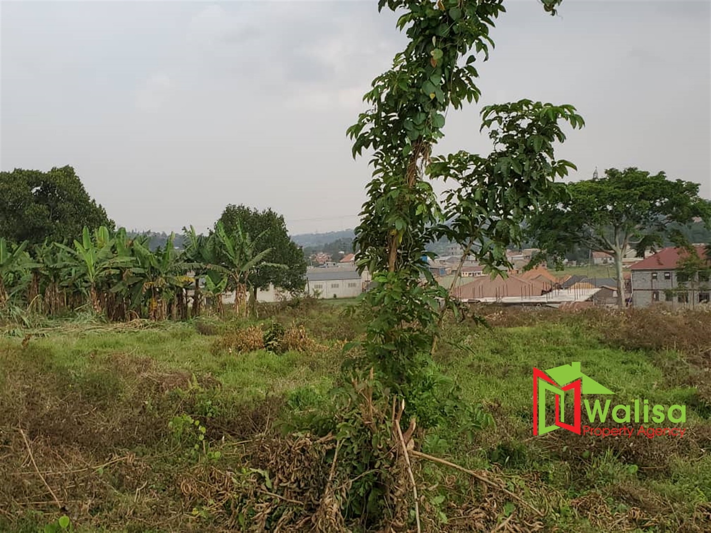 Commercial Land for sale in Mpereerewe Wakiso