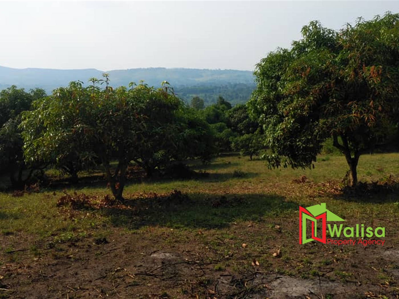 Resort for sale in Katosi Mukono