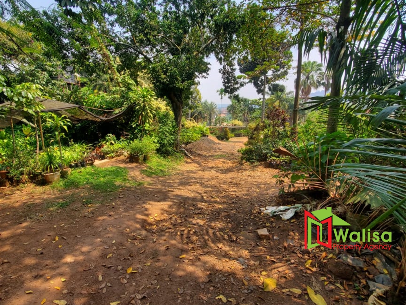 Commercial Land for sale in Lweza Wakiso