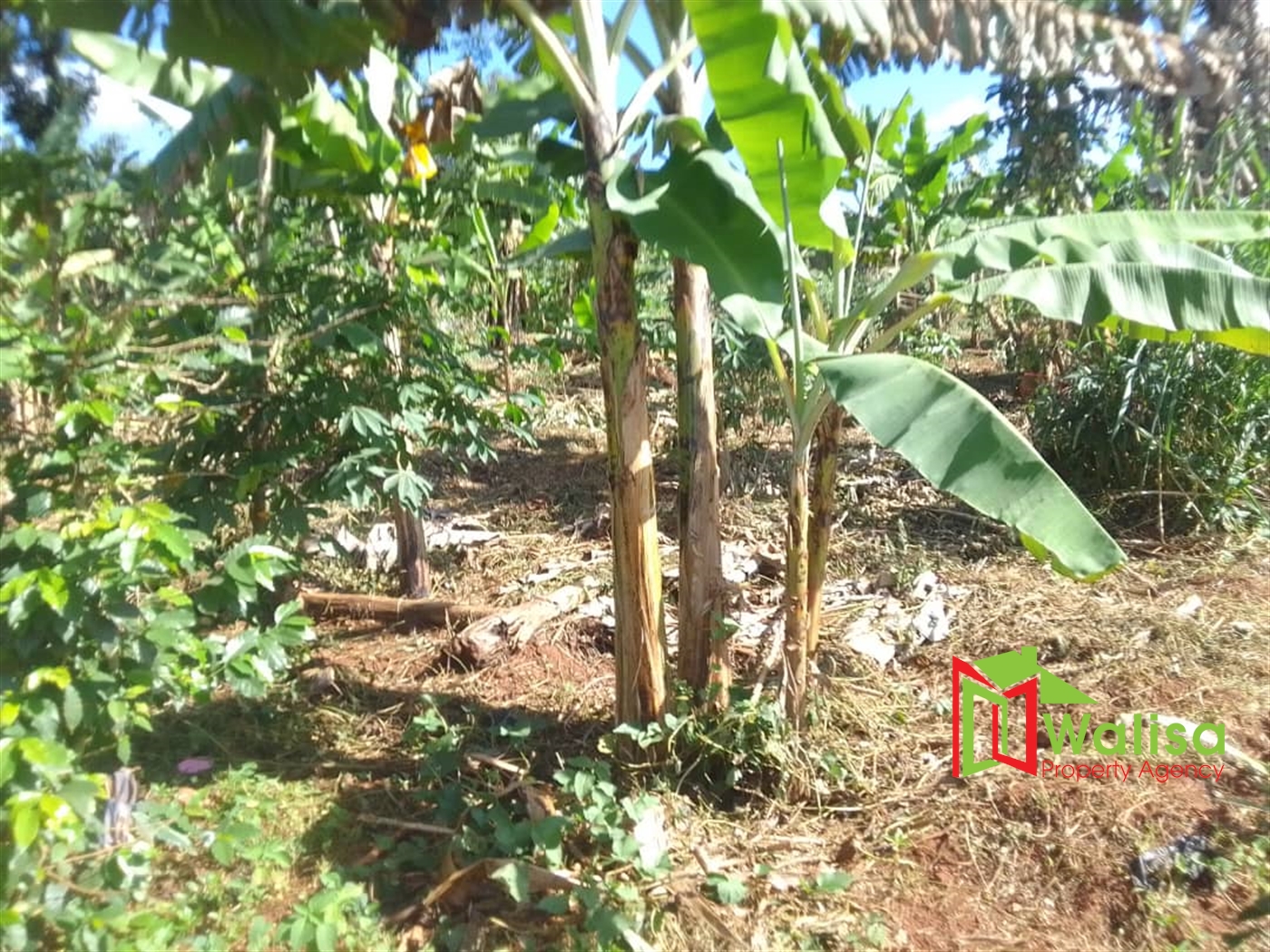 Agricultural Land for sale in Lukaya Masaka