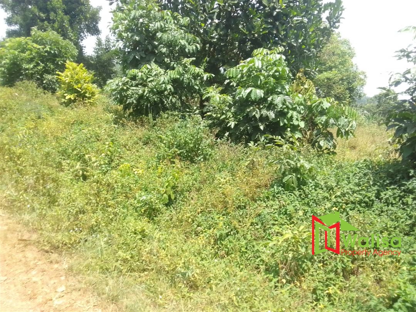 Agricultural Land for sale in Lukaya Masaka