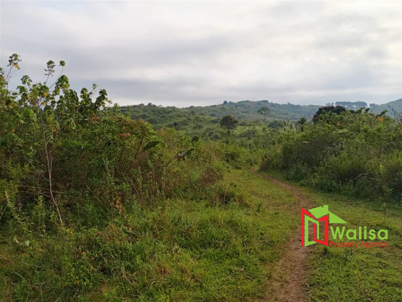 Multipurpose Land for sale in Busunju Mityana