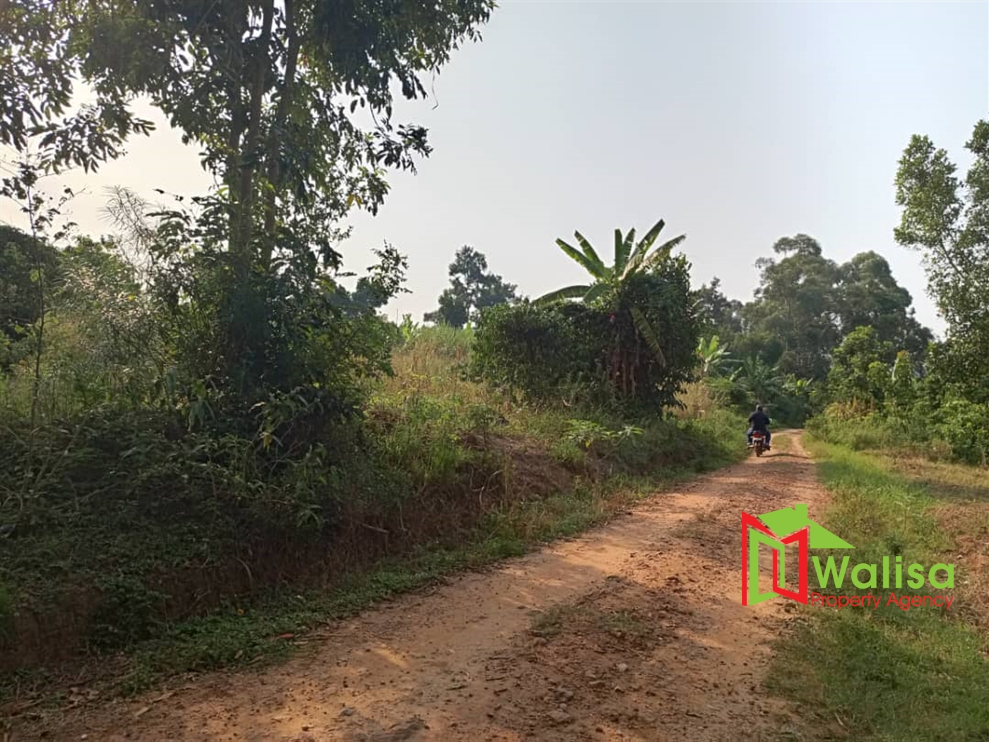 Multipurpose Land for sale in Busunju Mityana