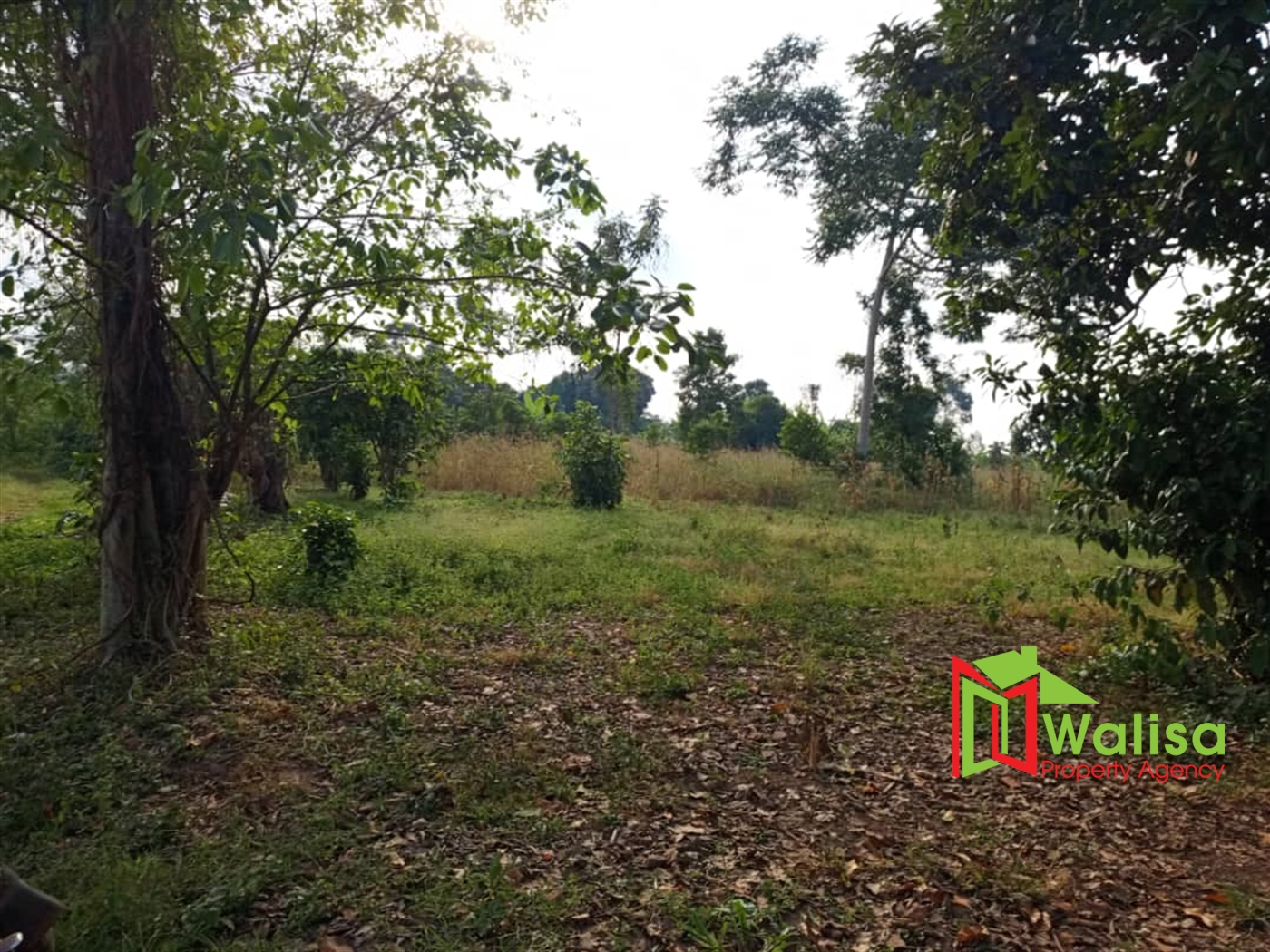 Multipurpose Land for sale in Busunju Mityana