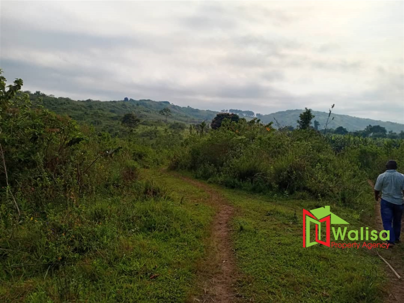 Multipurpose Land for sale in Busunju Mityana