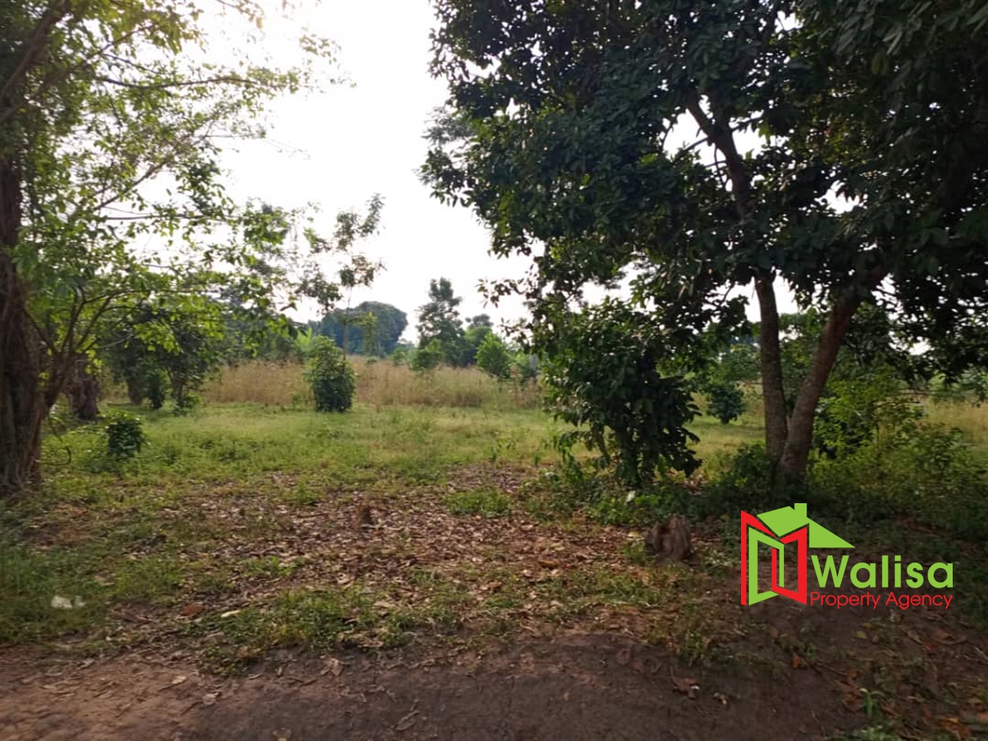 Multipurpose Land for sale in Busunju Mityana