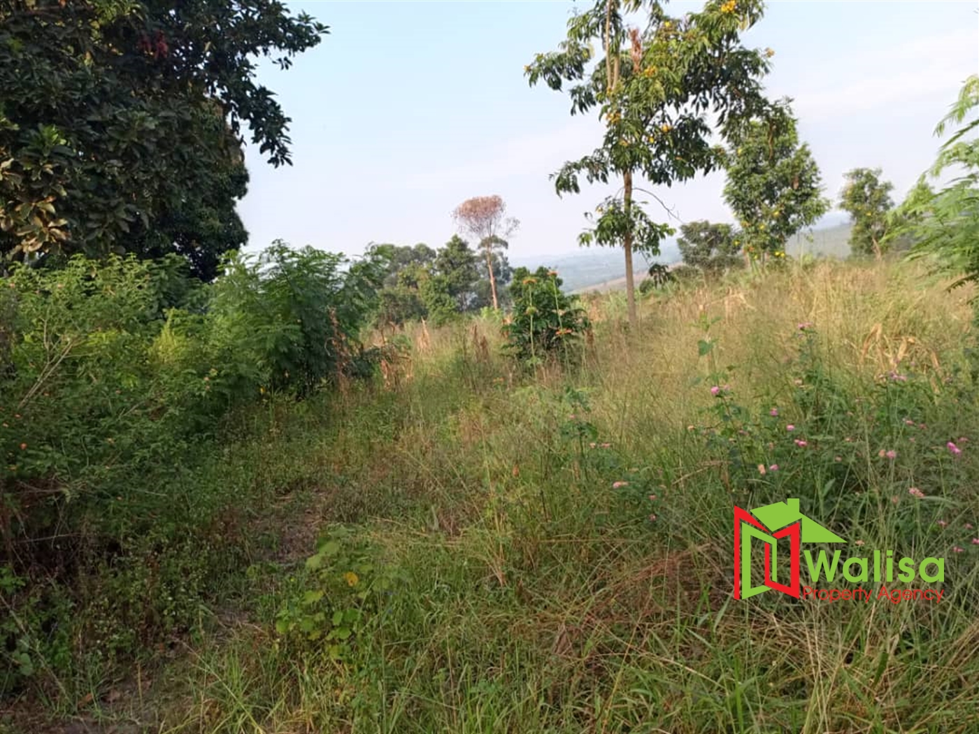 Multipurpose Land for sale in Busunju Mityana