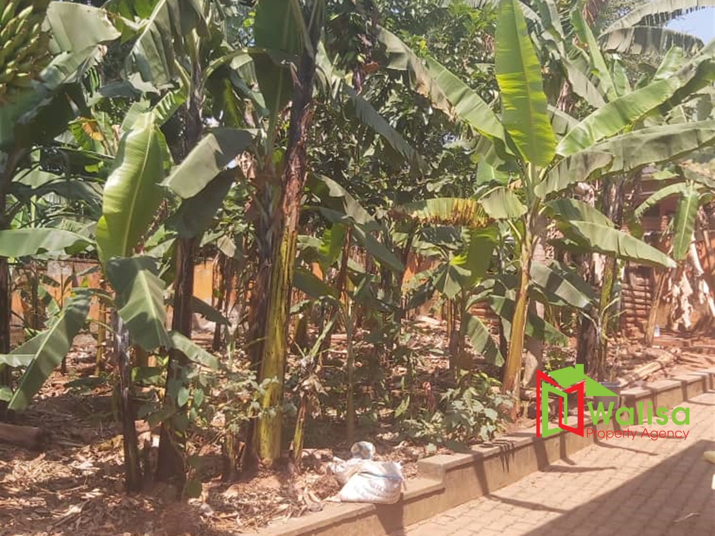 Bungalow for sale in Kajjansi Wakiso