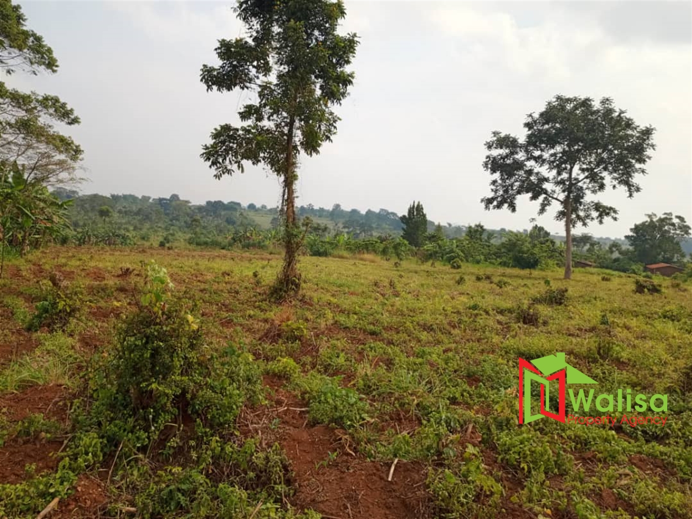 Agricultural Land for sale in Busunjju Mityana