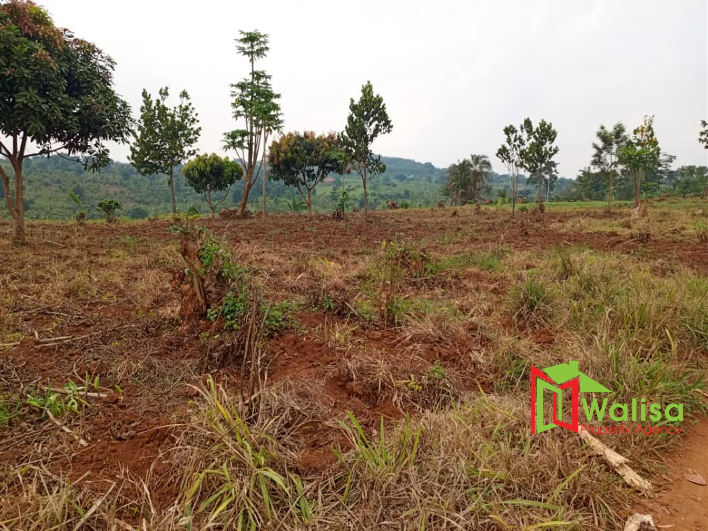 Agricultural Land for sale in Busunjju Mityana