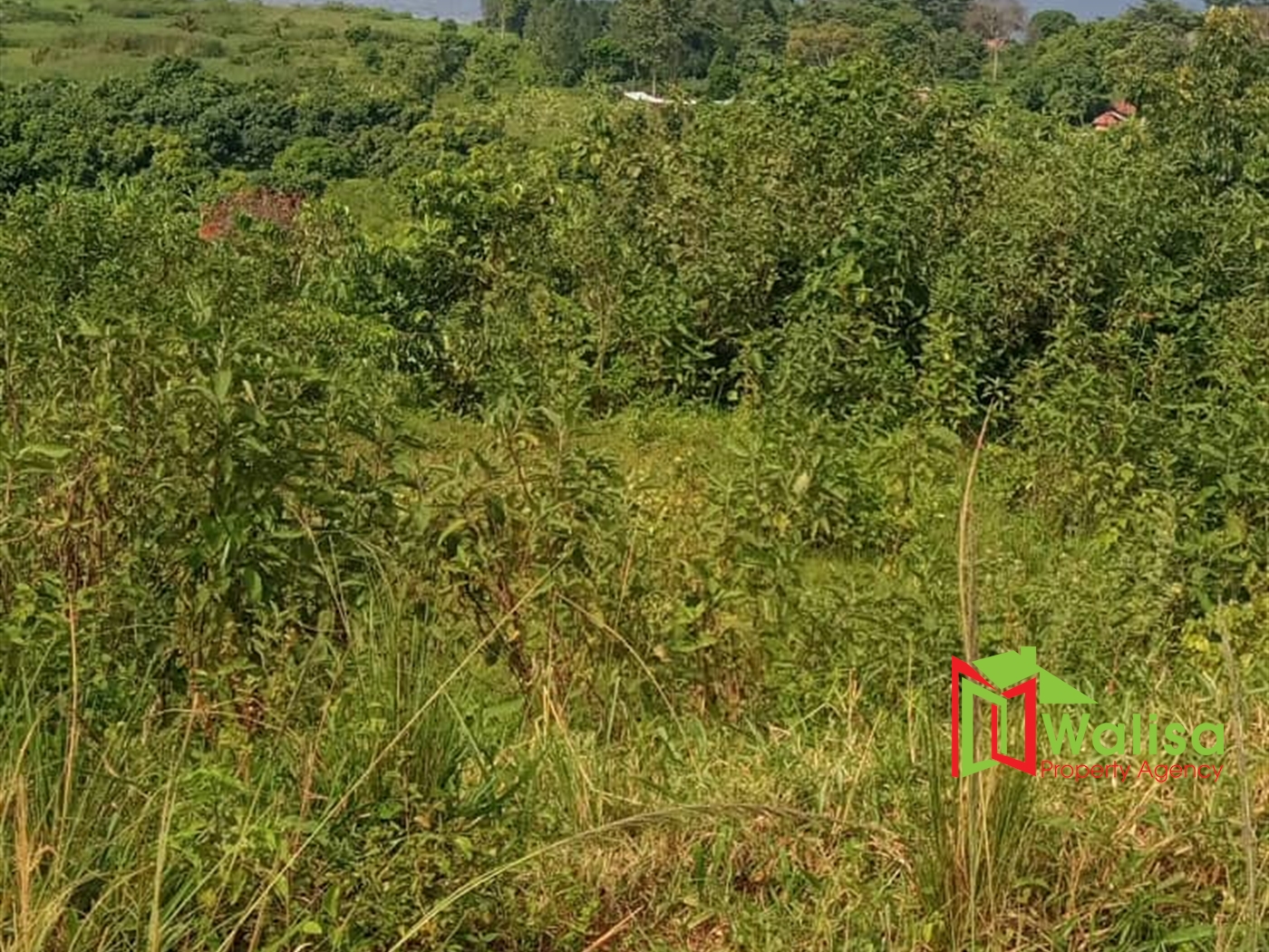 Multipurpose Land for sale in Bukasa Wakiso