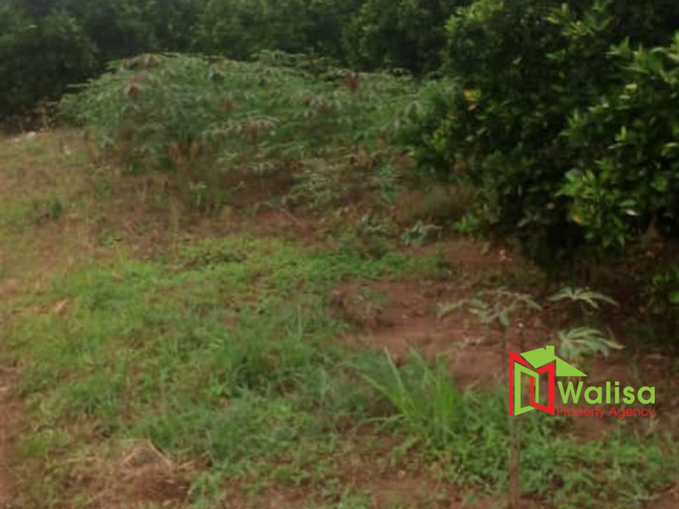 Multipurpose Land for sale in Bukasa Wakiso