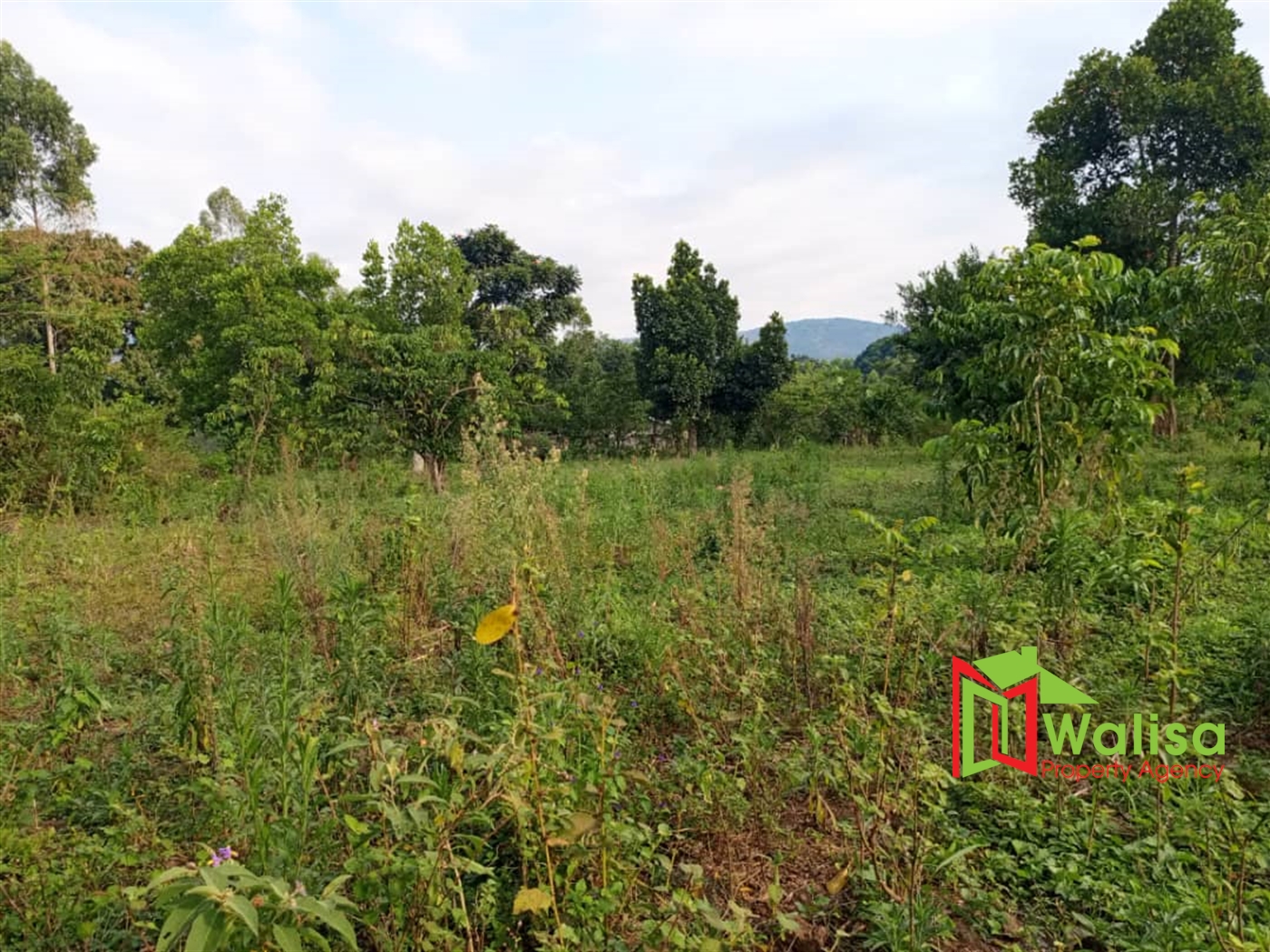 Multipurpose Land for sale in Busunjju Mityana