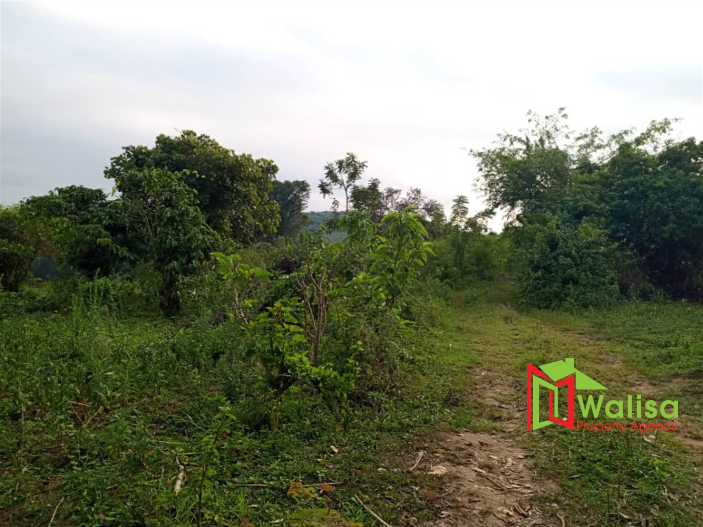 Multipurpose Land for sale in Busunjju Mityana