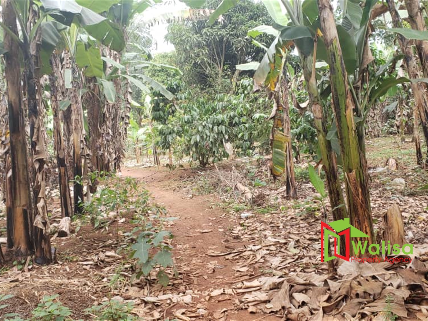 Residential Land for sale in Nakawuka Wakiso