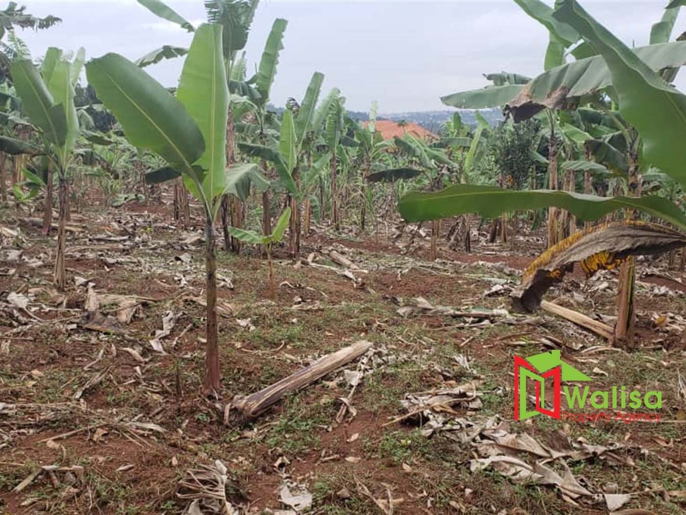 Residential Land for sale in Nakawuka Wakiso