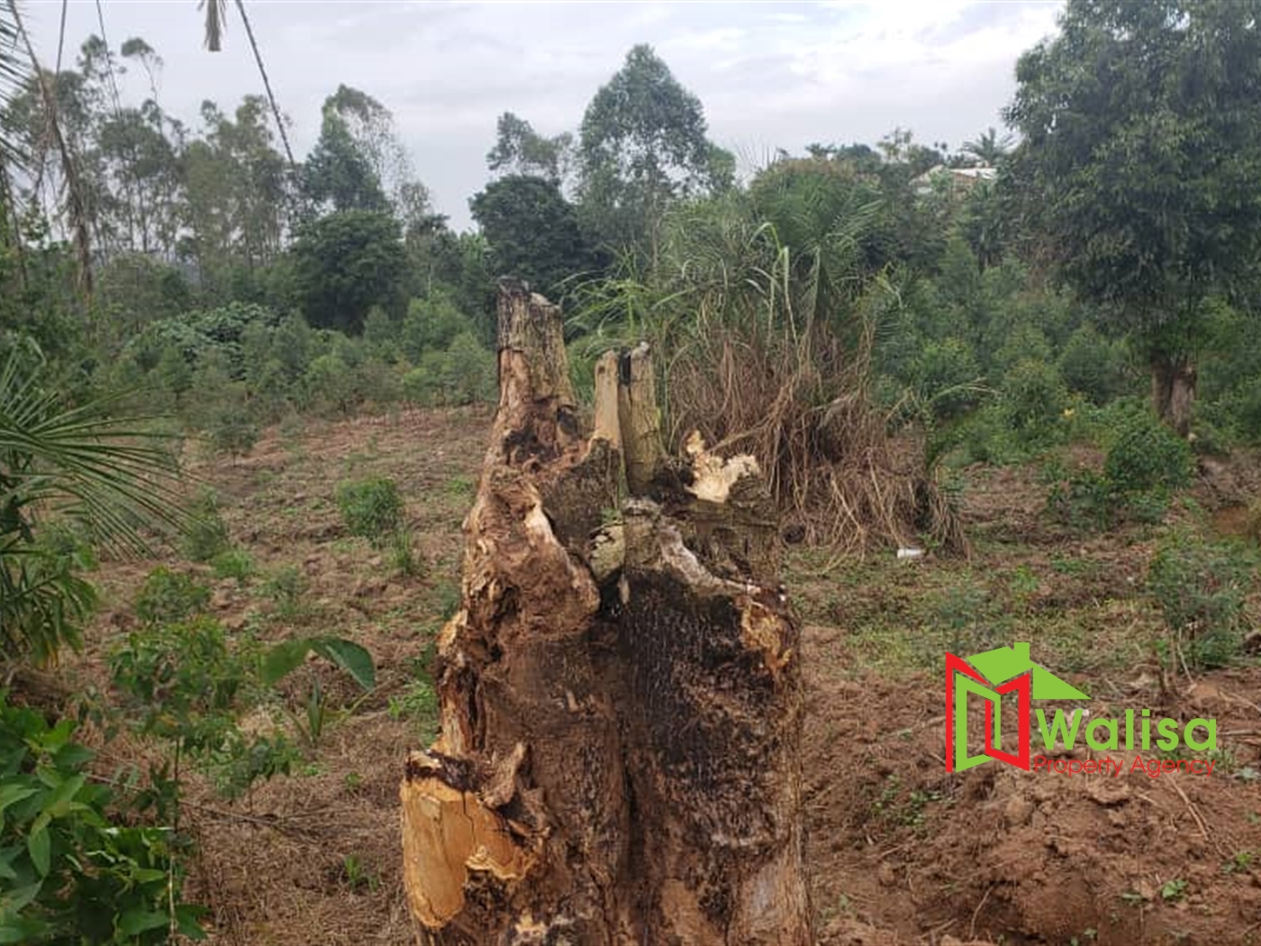 Residential Land for sale in Nakawuka Wakiso