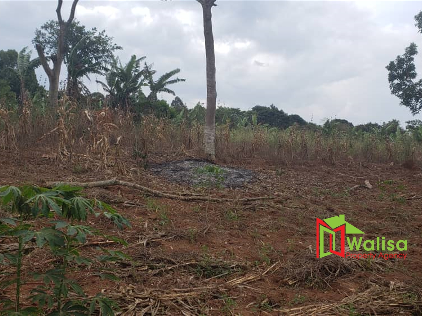 Residential Land for sale in Nakawuka Wakiso