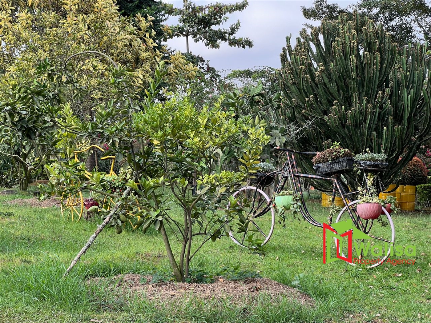 Farm for sale in Kampilingisa Mpigi