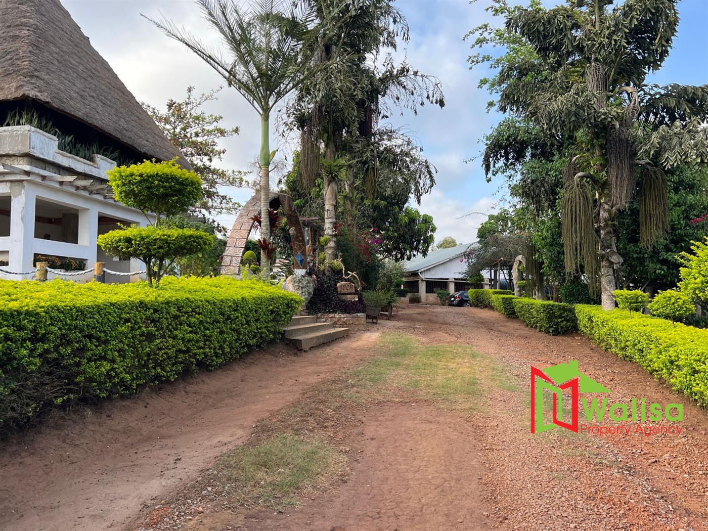 Farm for sale in Kampilingisa Mpigi