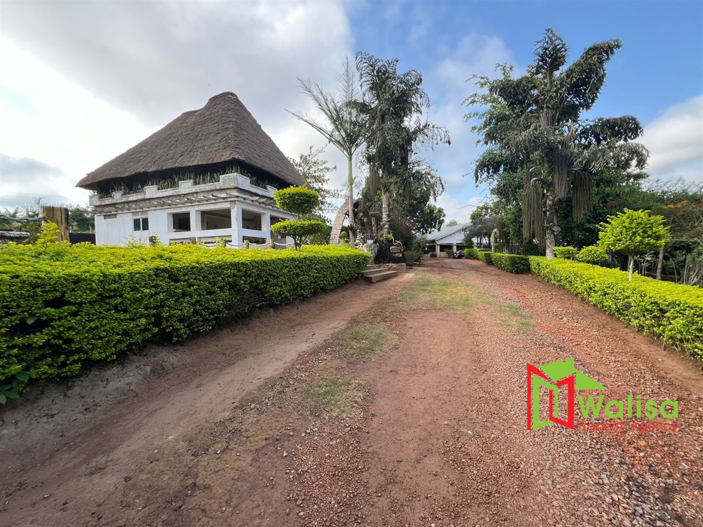 Farm for sale in Kampilingisa Mpigi