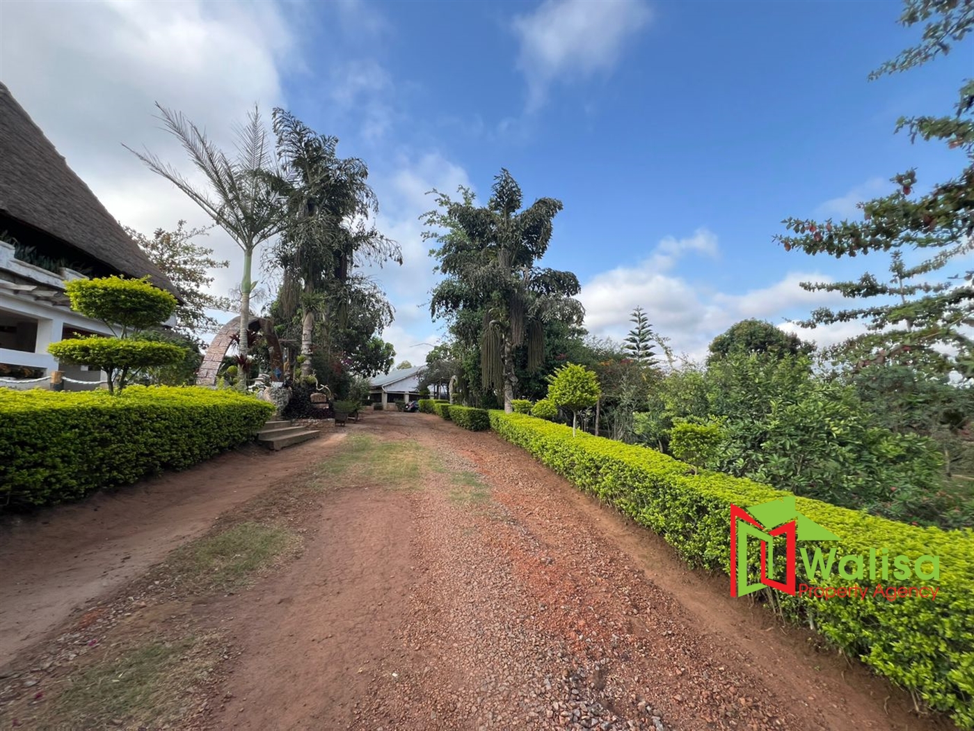 Farm for sale in Kampilingisa Mpigi