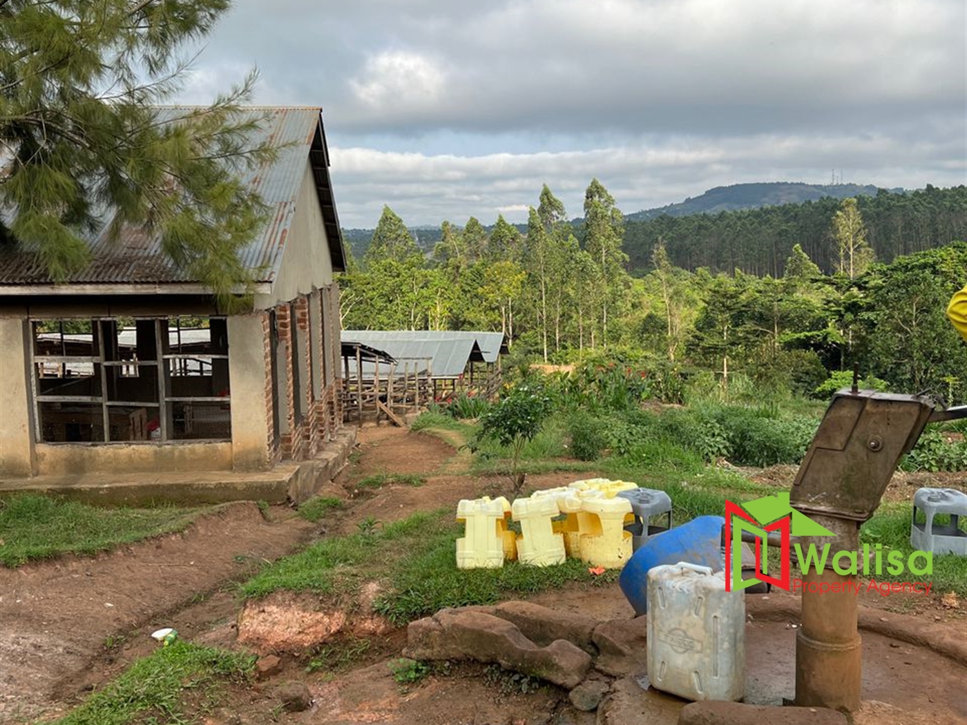 Farm for sale in Kampilingisa Mpigi