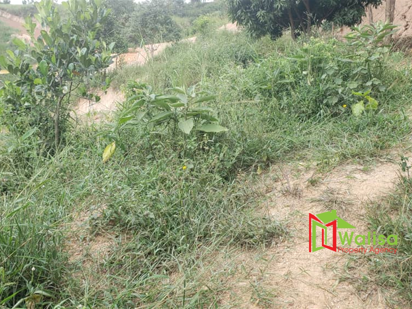 Residential Land for sale in Lubowa Wakiso