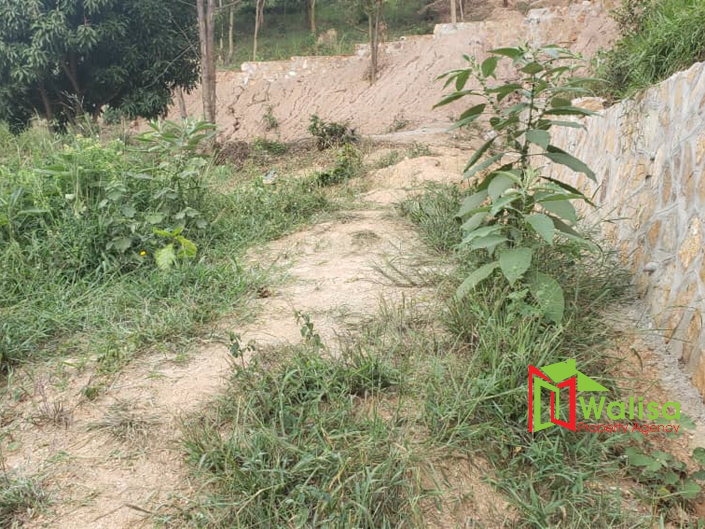 Residential Land for sale in Lubowa Wakiso