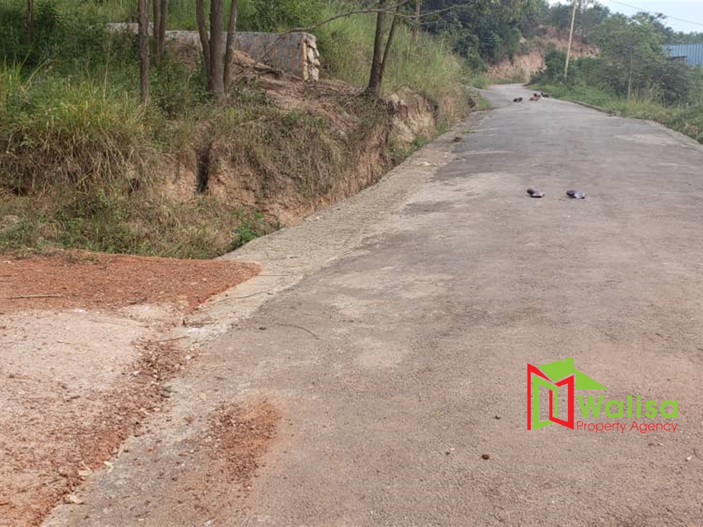 Residential Land for sale in Lubowa Wakiso